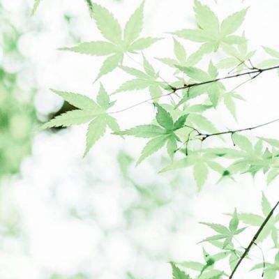 850版本官方下载安装