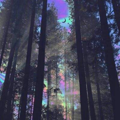 嘉实中证大农业ETF发起联接C净值下跌3.53%