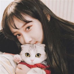 日本警方：将对中使馆24小时警戒