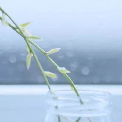 规模首破2000亿，泸州银行减收增利！59岁行长请辞